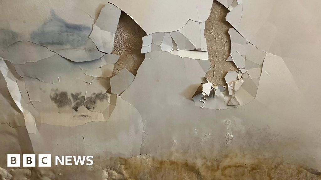 5331ce20 87c7 11f0 8265 7b50fda2ce04.jpg